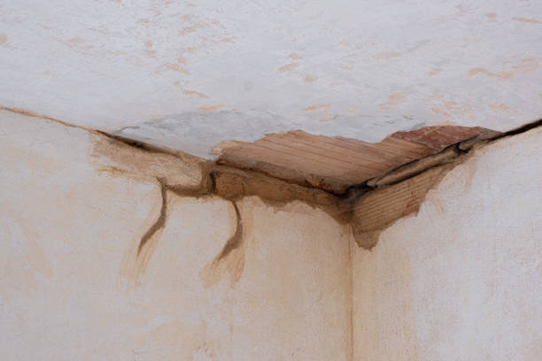 Best Emergency water damage restoration  in Greenwich, OH