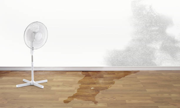 Best Flood damage cleanup  in Greenwich, OH