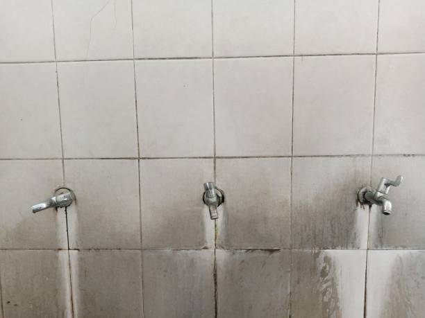 Best 24/7 water damage repair  in Greenwich, OH